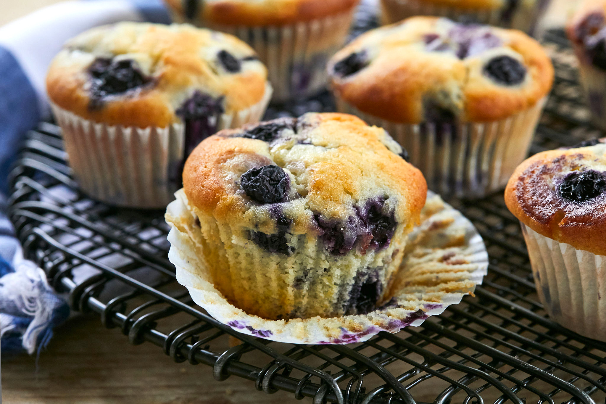 Blueberry Muffin